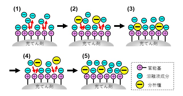（図18）イオン交換モードの分離機構