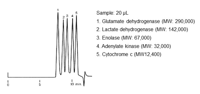 （図29）SECモードによるタンパク質の溶出順序