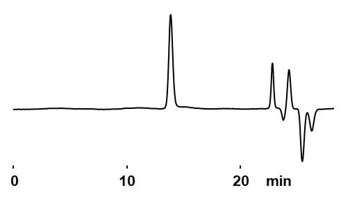 chromatogram of PMMA