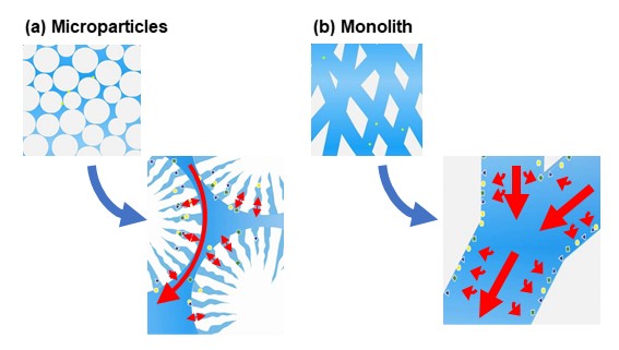 Figure 13 Microparticles and monolith