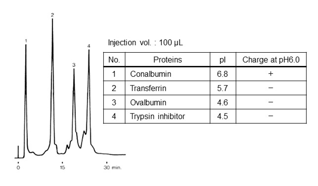 Figure 20 Elution order of standard proteins in strong anion exchange mode
